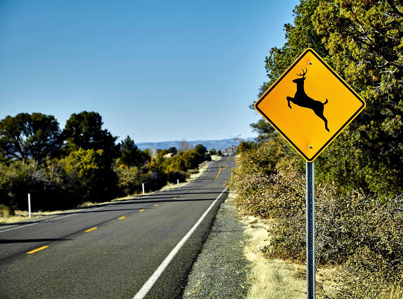A quiet stretch of road with a close-up view of a "deer crossing" sign on the right side of the road.