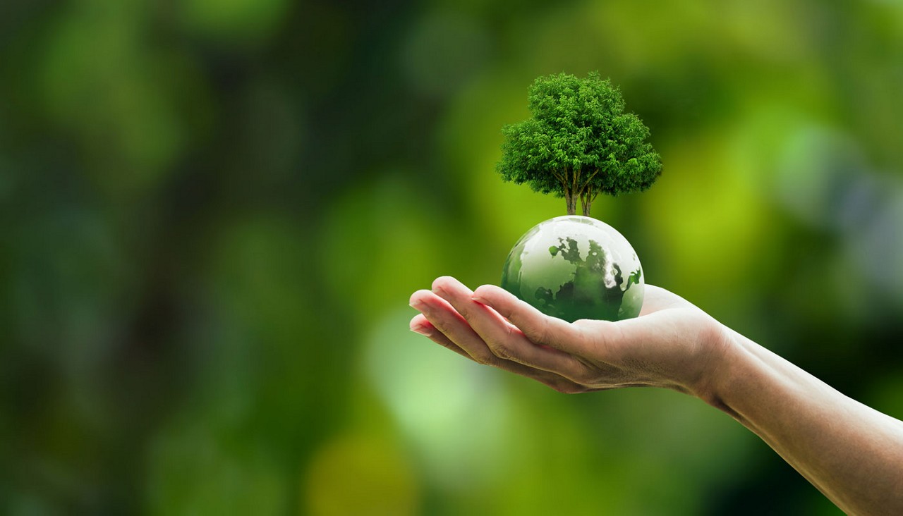 1-EcoFriendlyDiscounts-GettyImages-1502289160.jpg