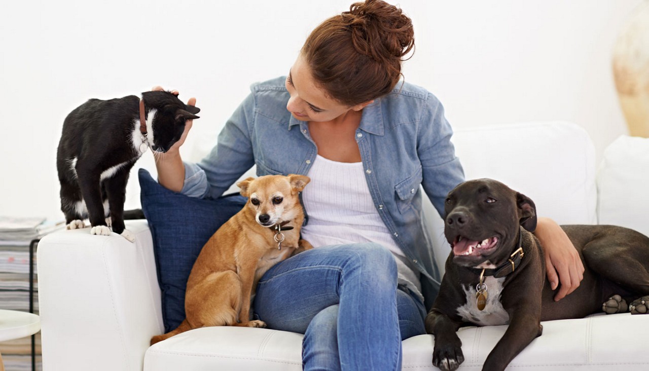 woman with her pet cat and dogs