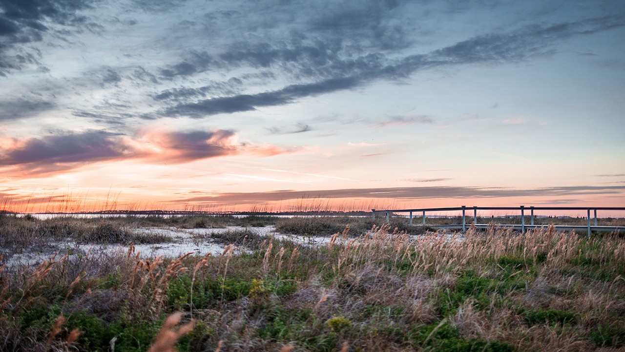 Edisto Beach, South Carolina sunset