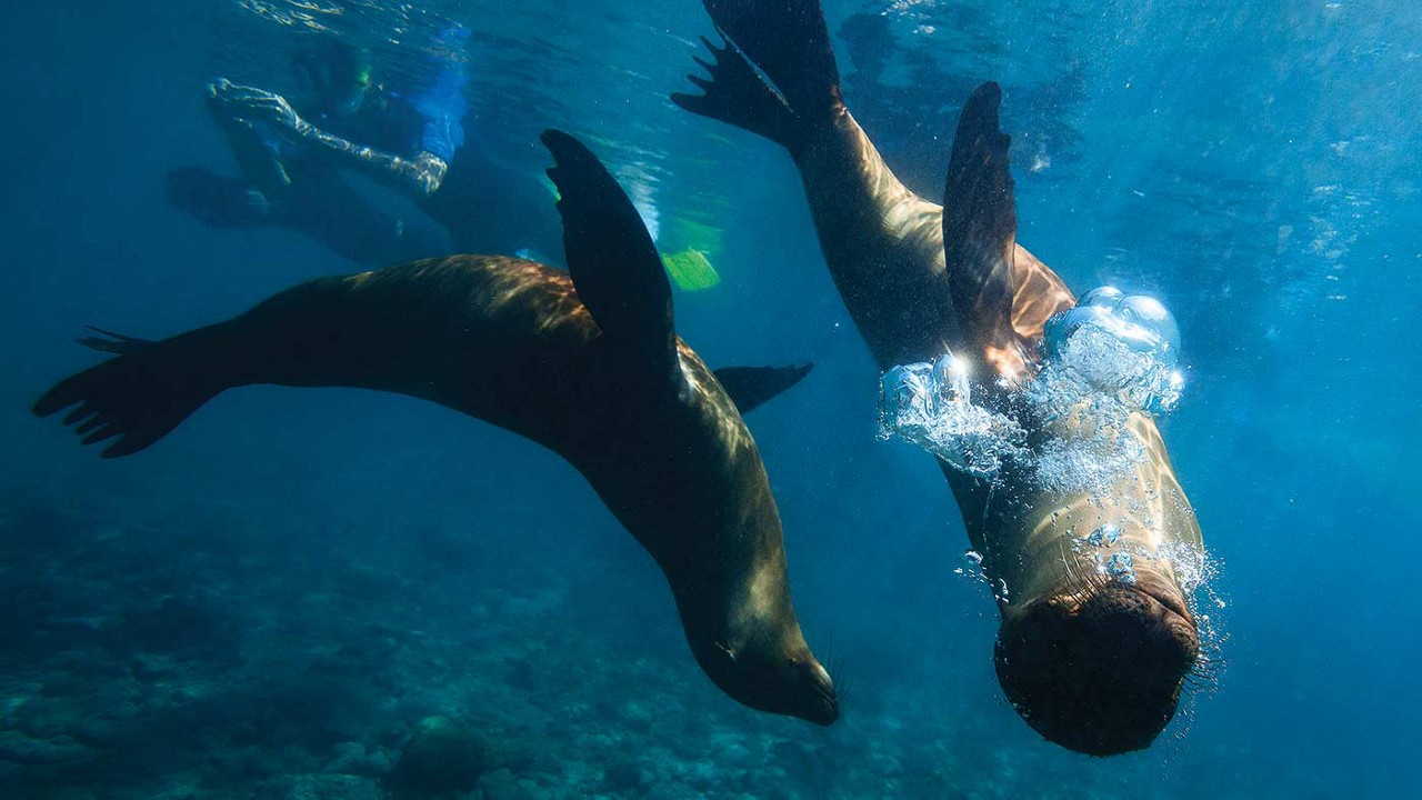 eye-opening-vacation-experiences-680x380.jpg