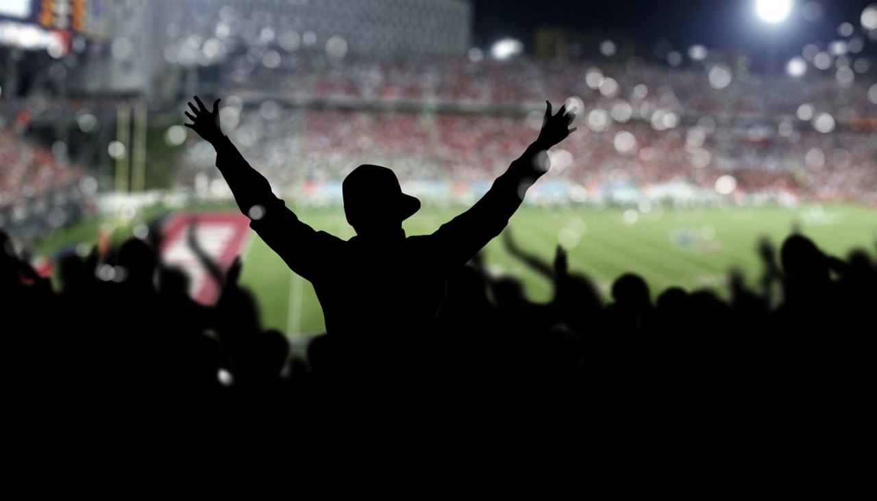 Crowd at a baseball stadium