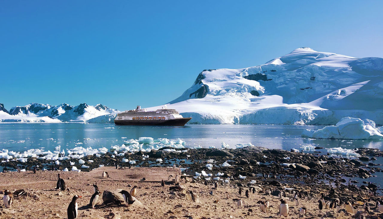 A cruise ship in a bay surrounded by ice and penguins