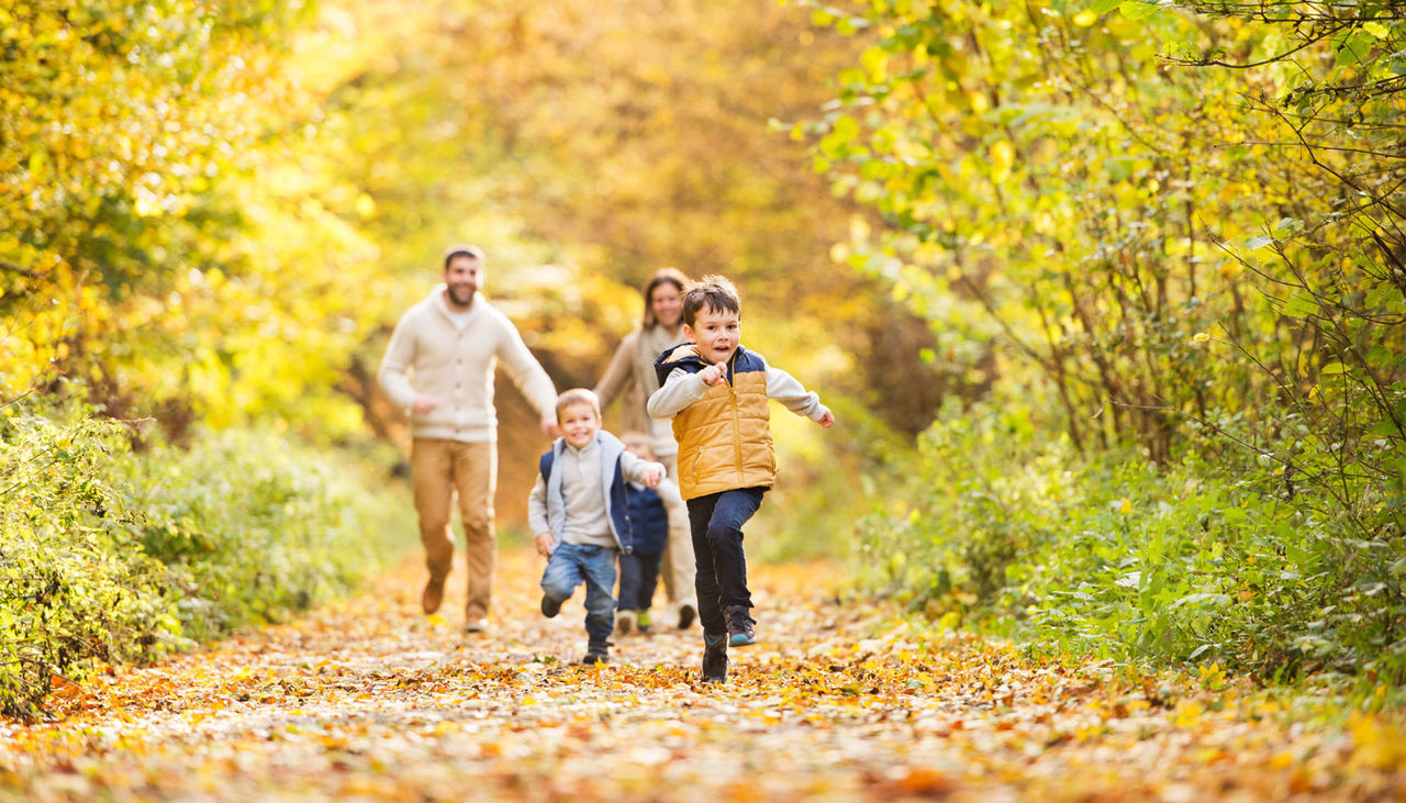 Discover the Best Fall Activities and Save with Your AAA Membership 