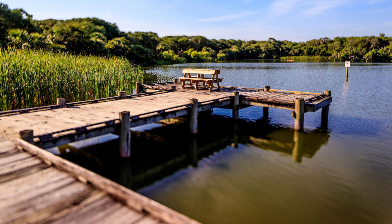 Jacksonville Outdoors: Explore Nature in the River City
