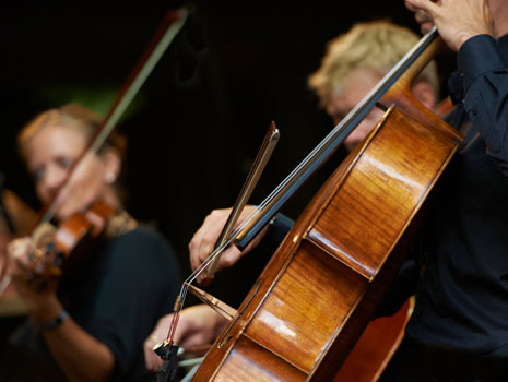 South Carolina Philharmonic: Home for the Holidays -- Columbia