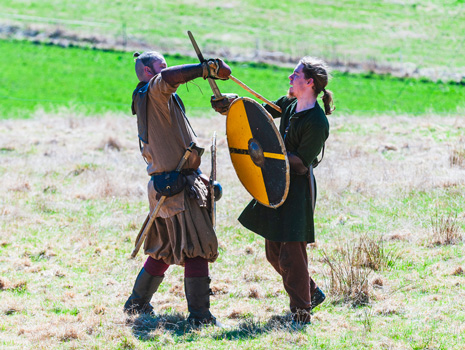 Viking Fest Minnesota -- Farmington