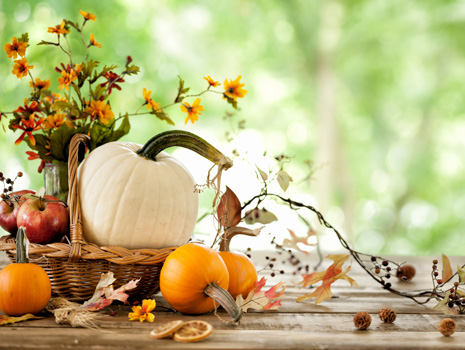 Stillwater Harvest Fest -- Stillwater