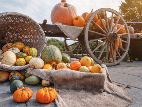 Middlebury Fall Festival -- Middlebury