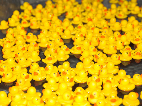 Chicago Ducky Derby -- Chicago