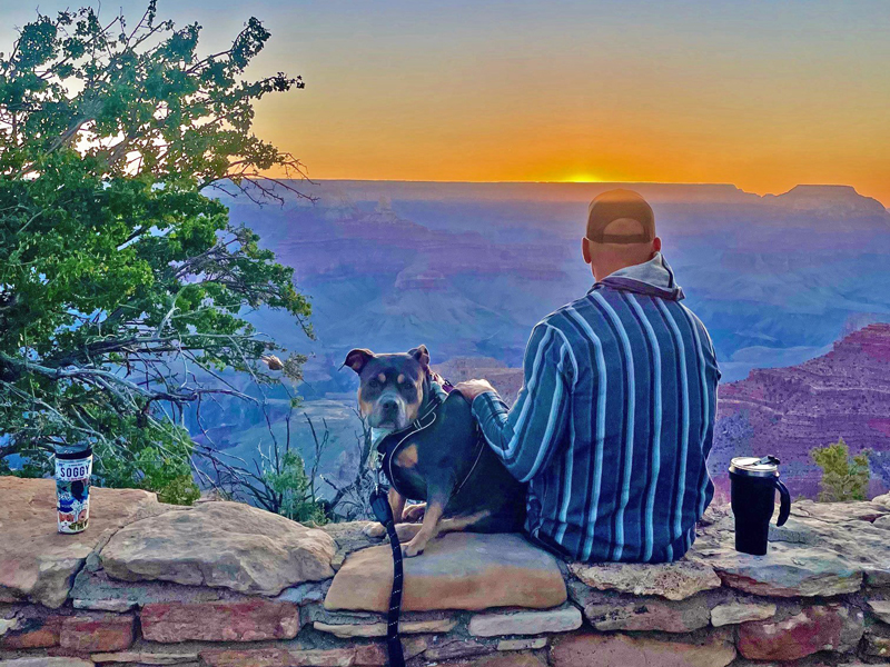 Summer Road Trips with Your Furry Companion